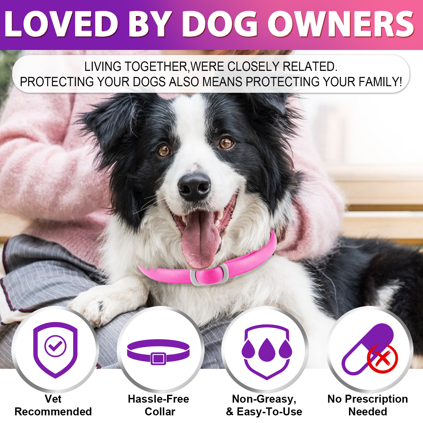 Oimmal Flea & Tick Collar for Dogs (4 Collars) - Pink&Purple