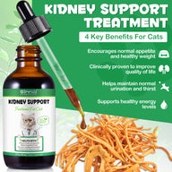 Oimmal Kidney Support for Cats