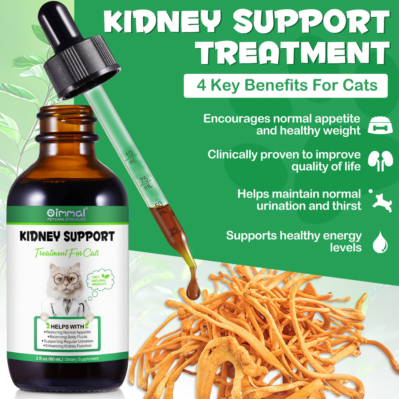 Oimmal Kidney Support for Cats · oimmal