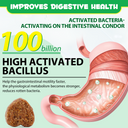 Oimmal Pre & Probiotic Digestive Chews