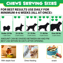 Oimmal Pre & Probiotic Digestive Chews