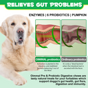Oimmal Pre & Probiotic Digestive Chews