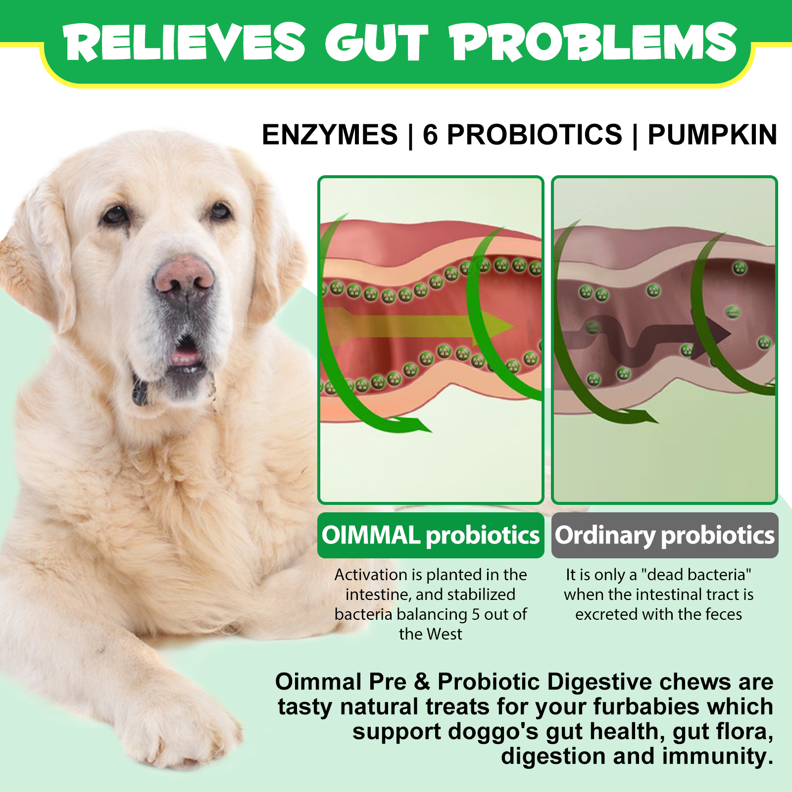 Oimmal Pre & Probiotic Digestive Chews