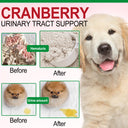 Oimmal Bladder Control + Cranberry for Dogs