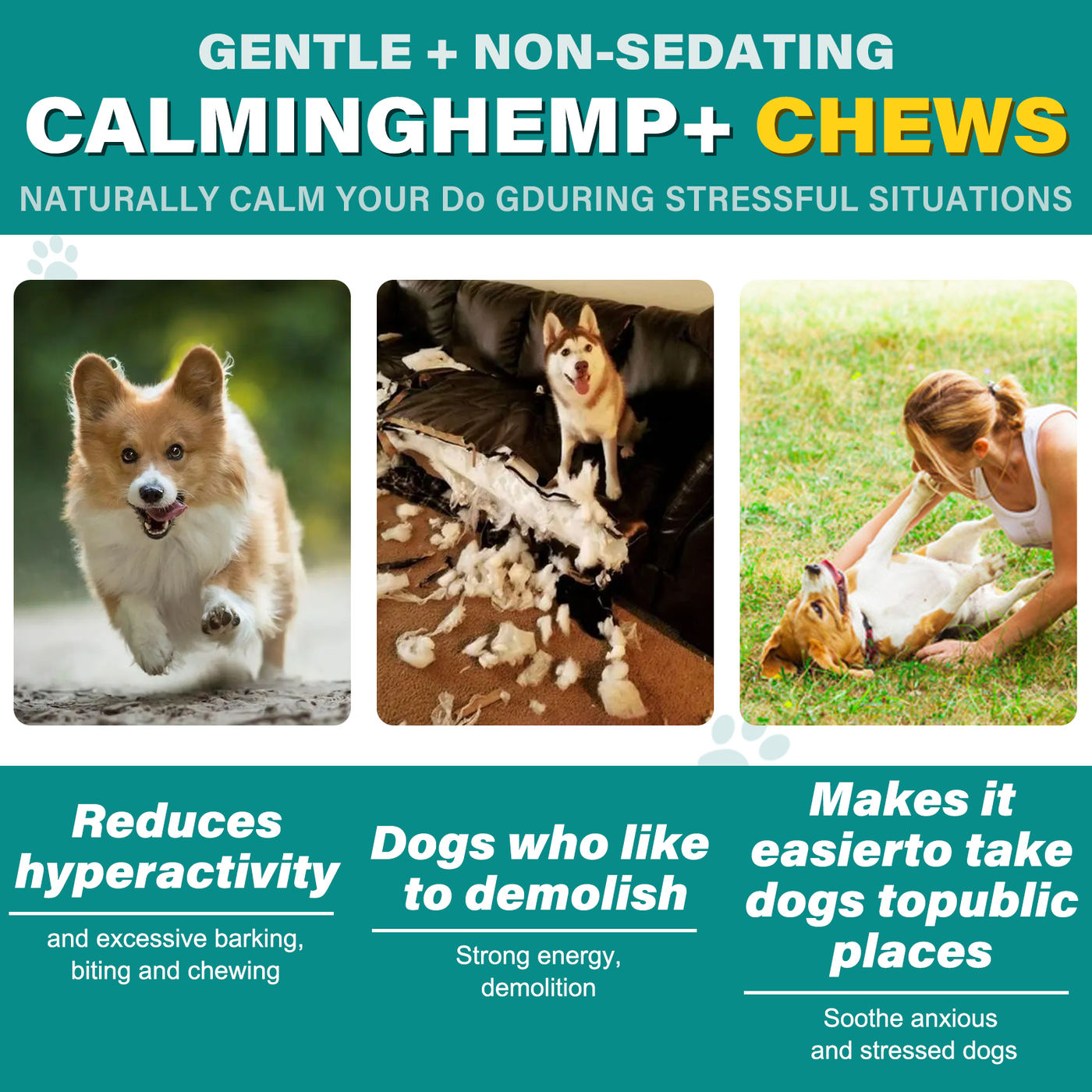 Oimmal Hemp Calming Chews / Duck Flavor