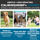 Oimmal Hemp Calming Chews / Salmon Flavor