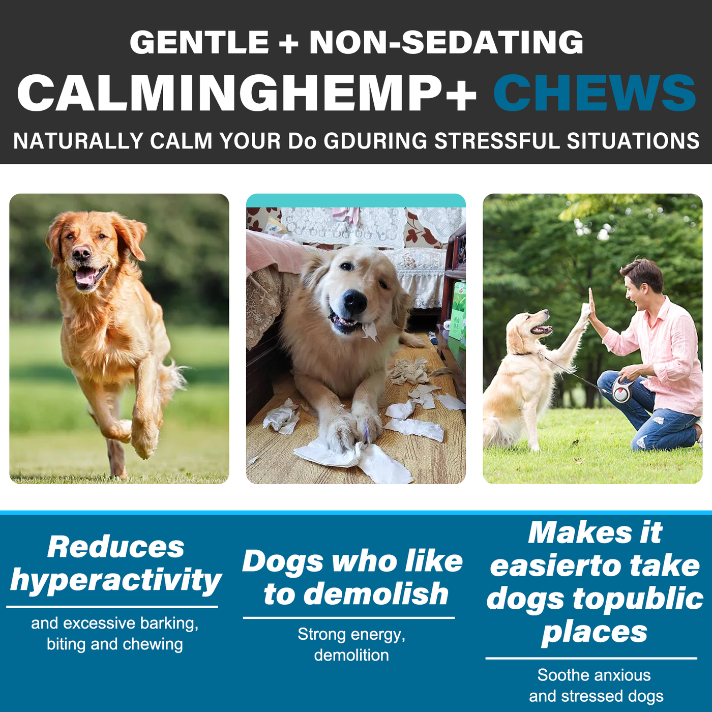 Oimmal Hemp Calming Chews / Salmon Flavor