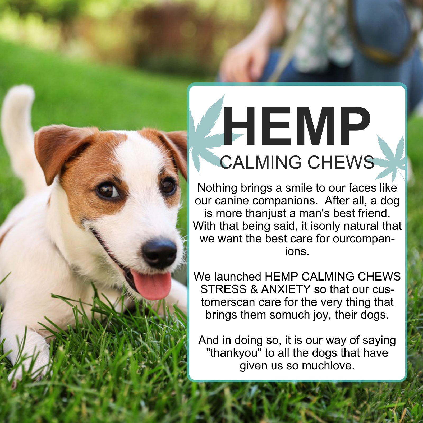 Oimmal Hemp Calming Chews / Peking Duck Flavor