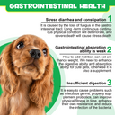 Oimmal Pre & Probiotic Digestive Chews