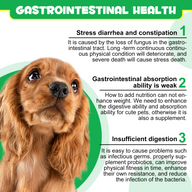 Oimmal Pre & Probiotic Digestive Chews